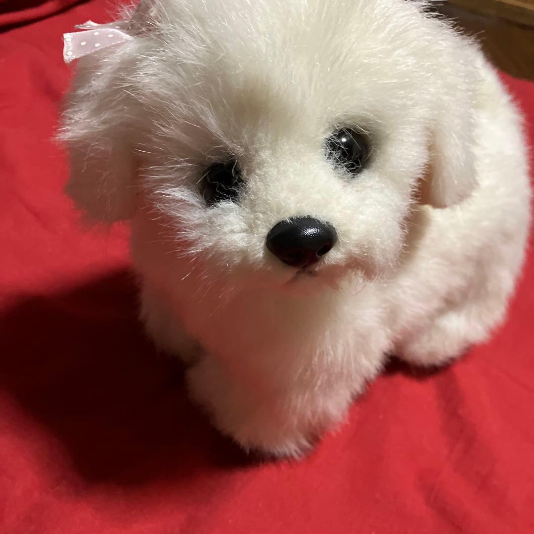 ぬいぐるみ犬　マルチーズ　リアル　白い犬　レトロぬいぐるみ