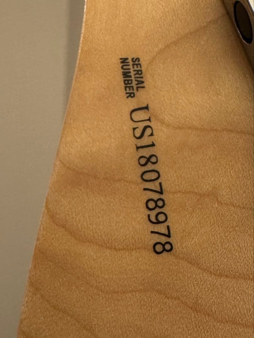 ギター FenderAmerican Professional Stratocaster