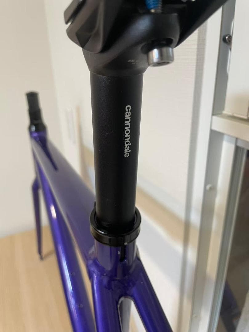 Cannondale CAAD OPTIMO 2019 フレームセット 54