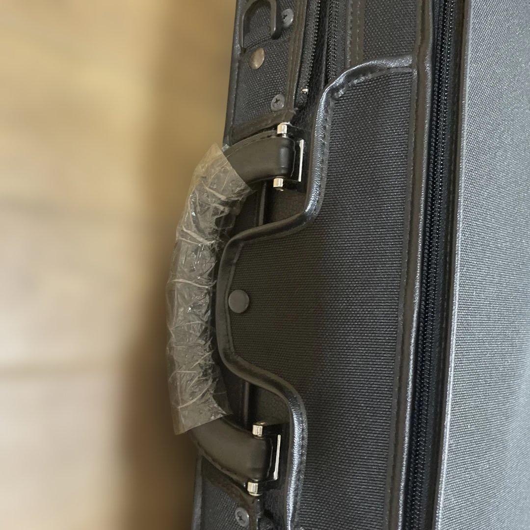 【一式ほぼ未使用／新同】　ピグマリウス　バイオリン