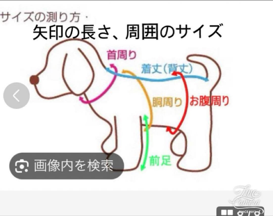B442.pon2pan2☆犬オーダー☆犬お着物☆犬2ウェイお着物