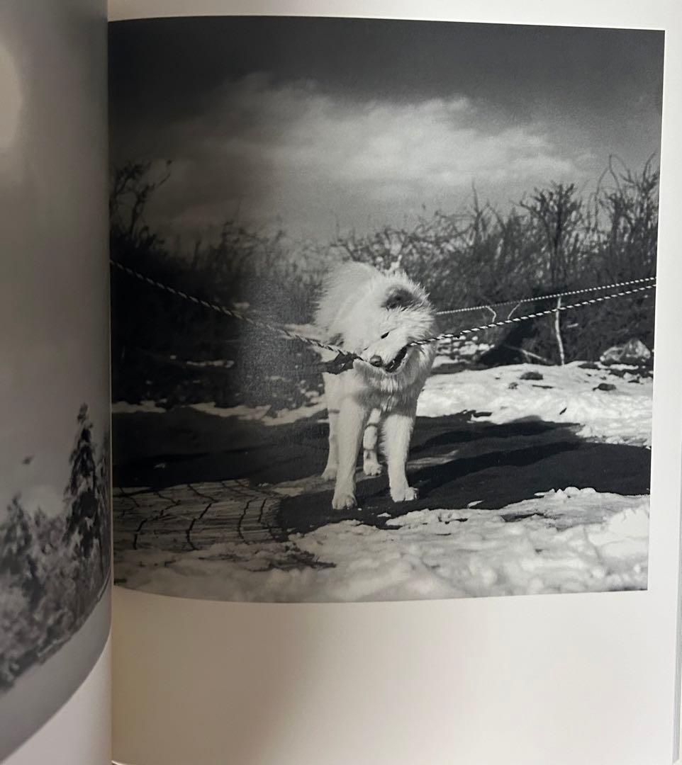 富谷昌子 Masako Tomiya 津軽 サイン入り