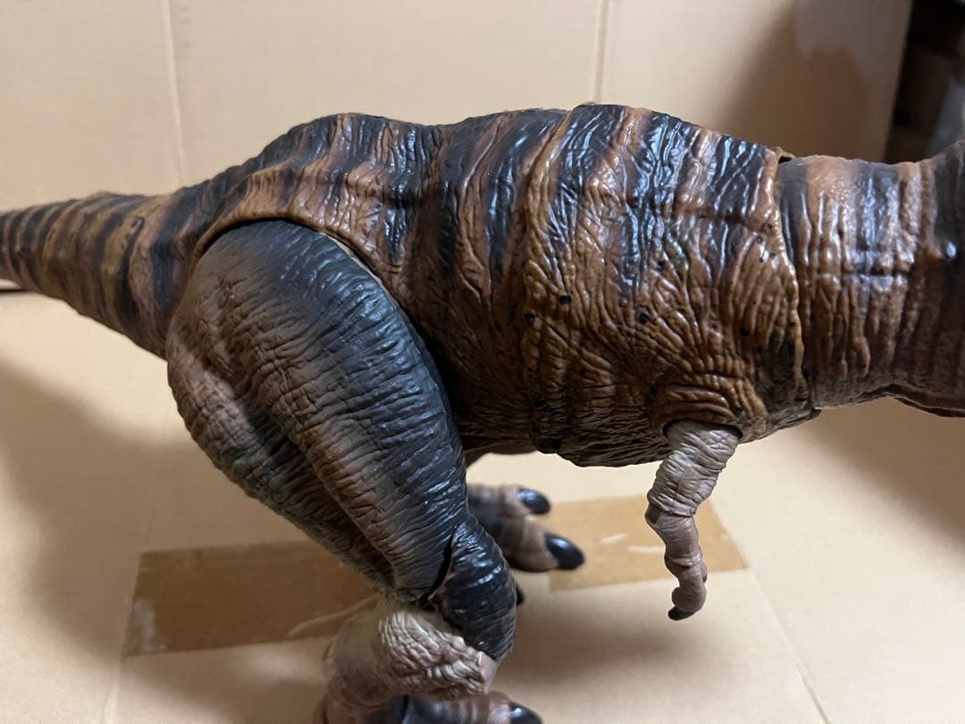 ハモンドコレクション　ティラノサウルス