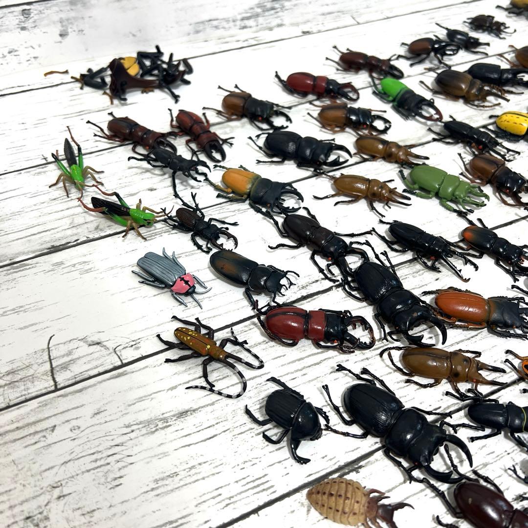 昆虫　フィギュア