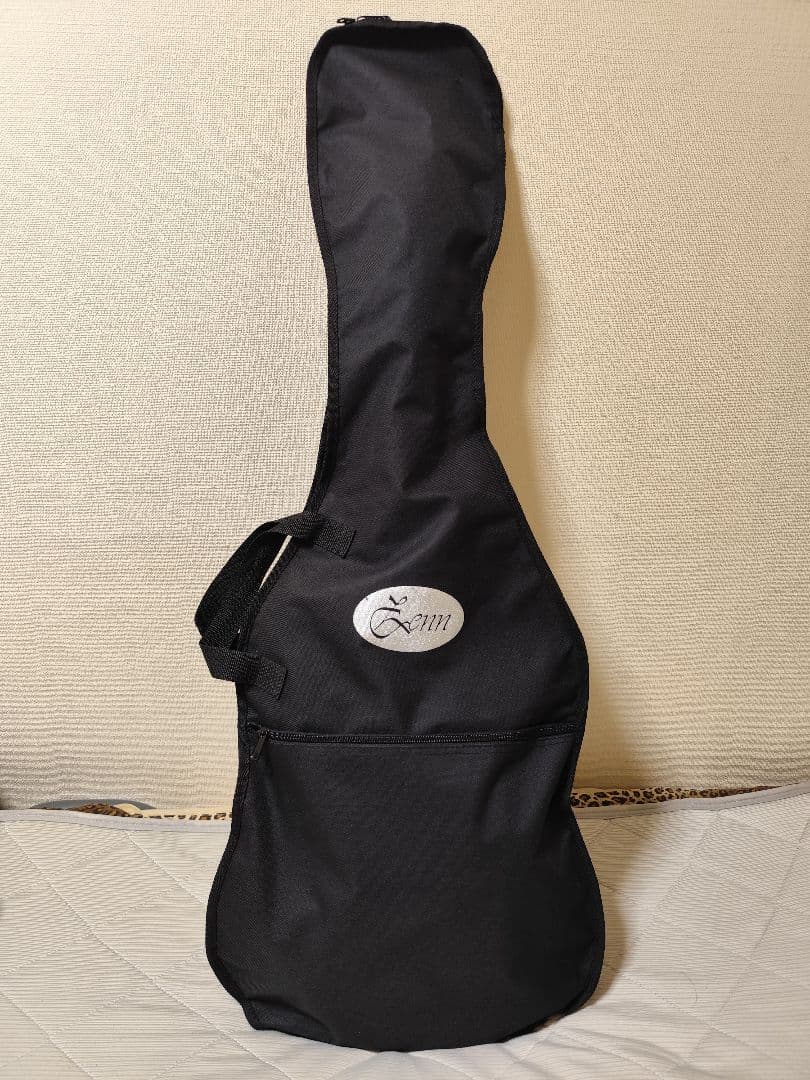 Ibanez Gio/ケース付