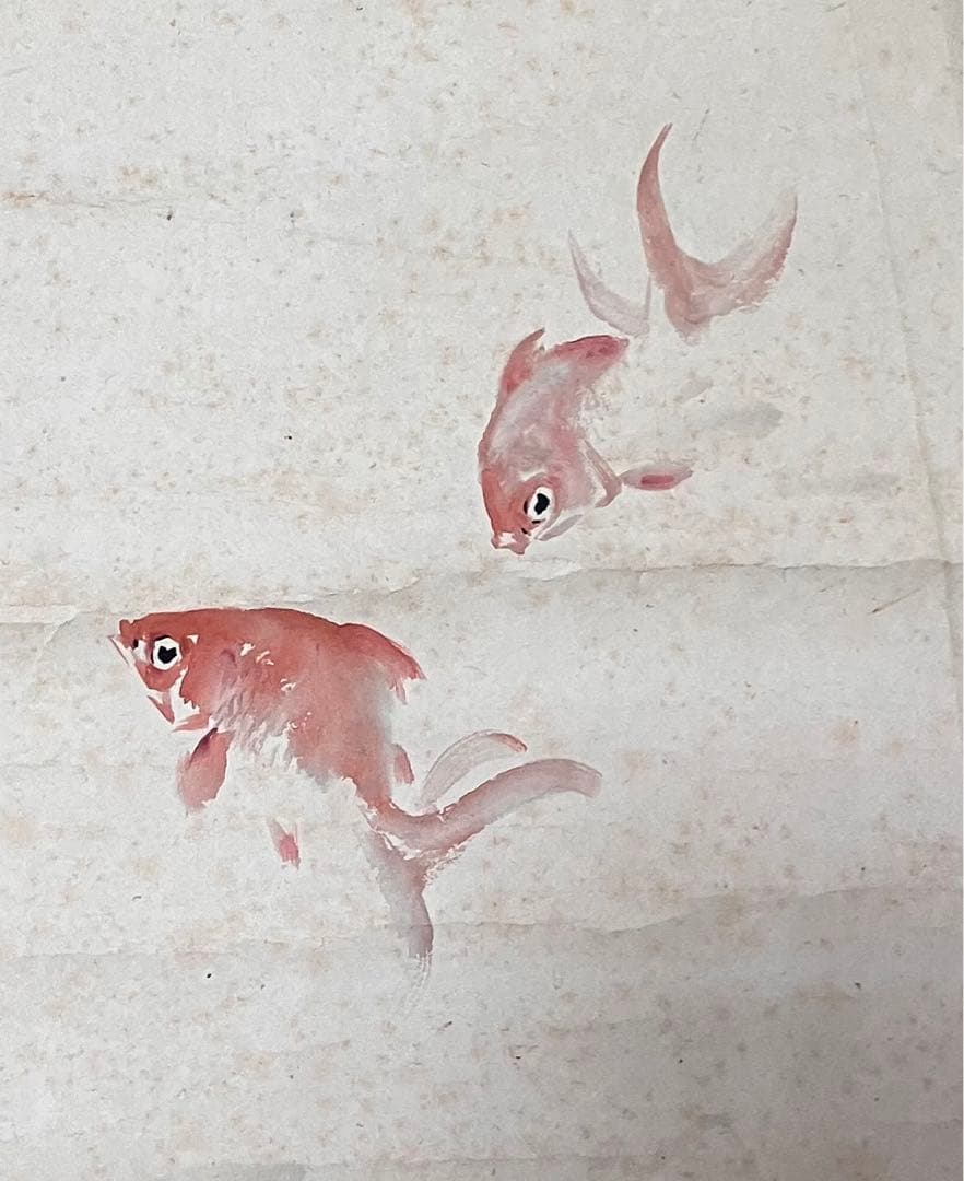 真作　池上秀畝掛軸　金魚　24.5.23-1