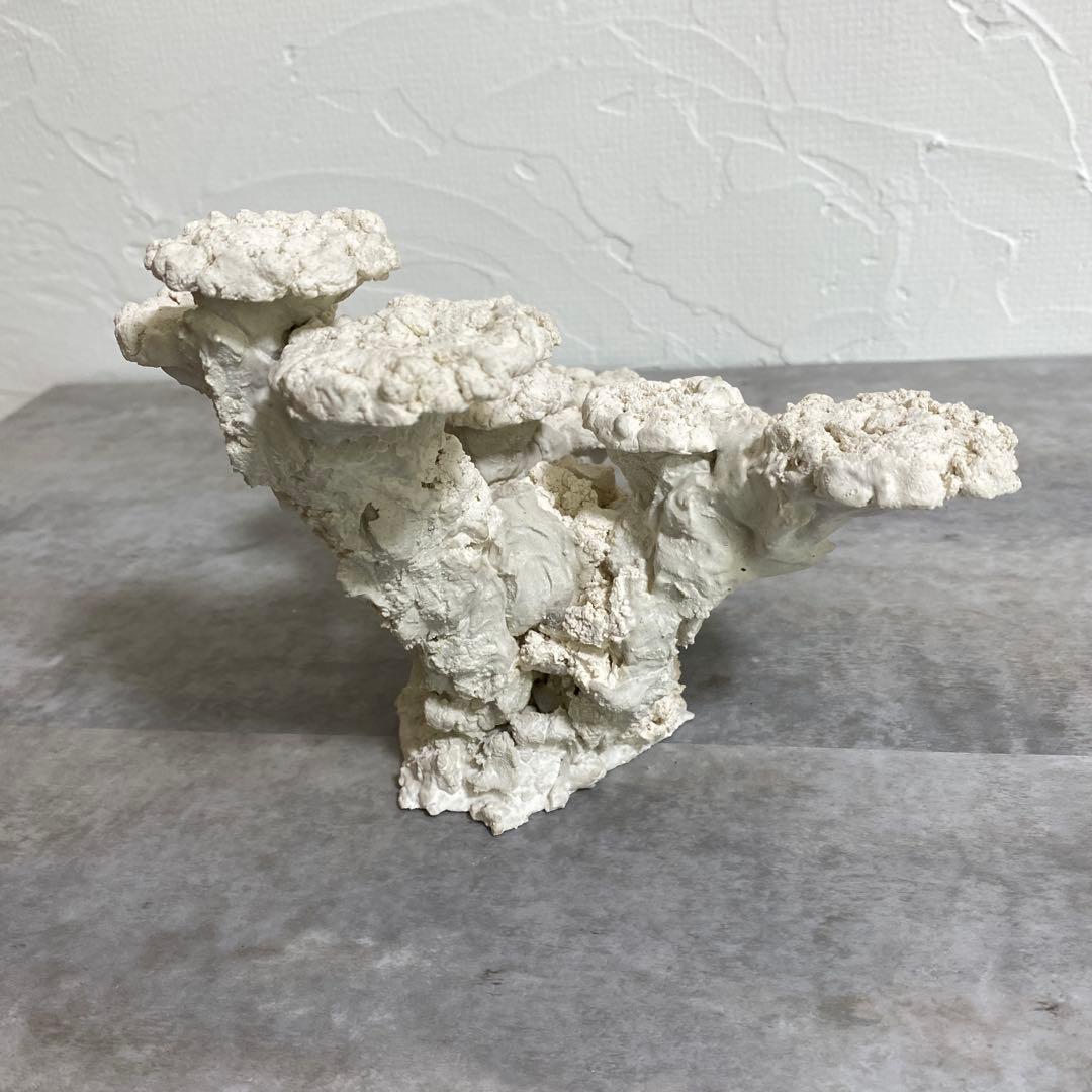 30cm 水槽用ホワイトコーラル型石　レイアウト済　人口ライブロック　サンゴ