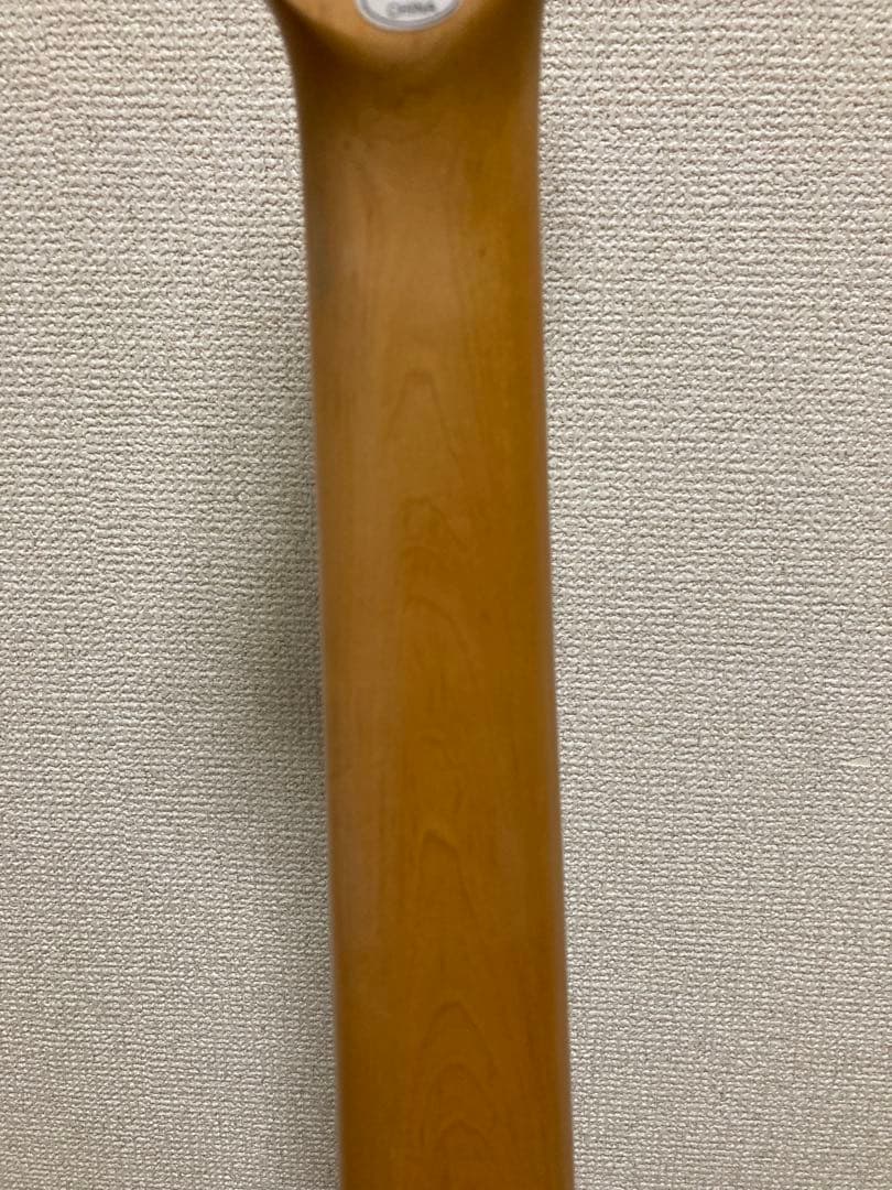 Photo genic ストラトレフティギター