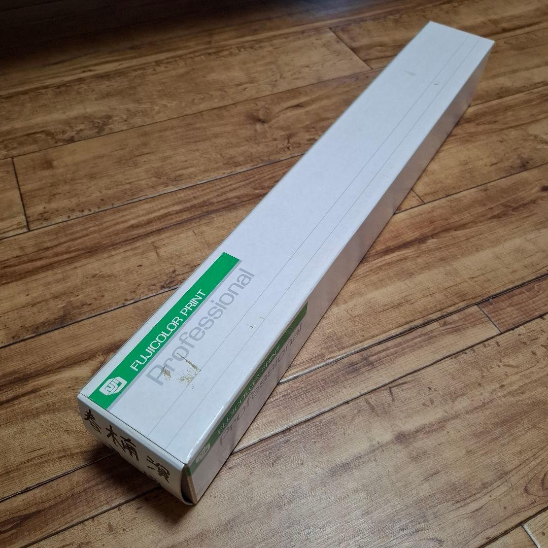 【掛軸】春木南溟「鳥図」共箱付き