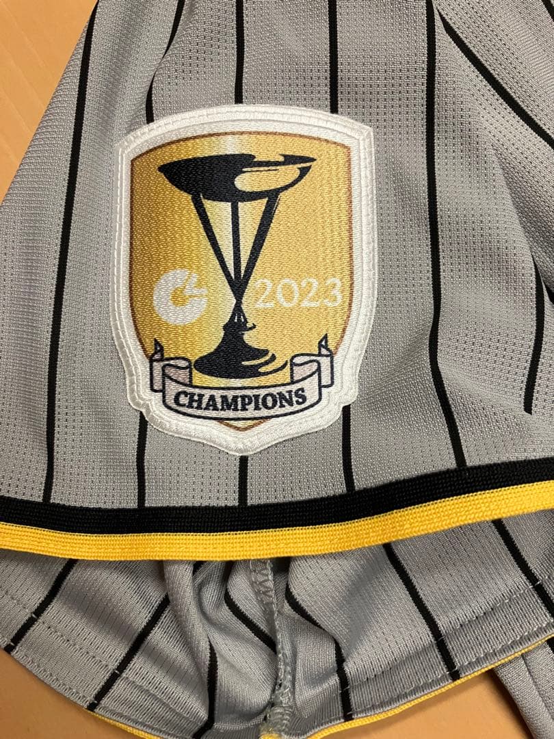 才木浩人　ユニフォーム　阪神タイガース　チャンピオンエンブレム　ワッペン