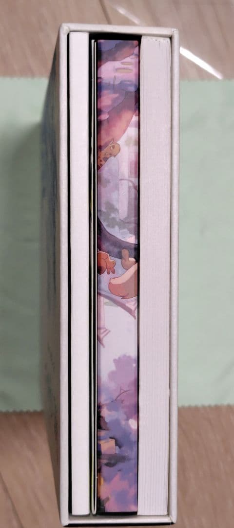 羅小黒戦記　ぼくが選ぶ未来　'19中国　完全生産限定版　特典　帯付き　DVD