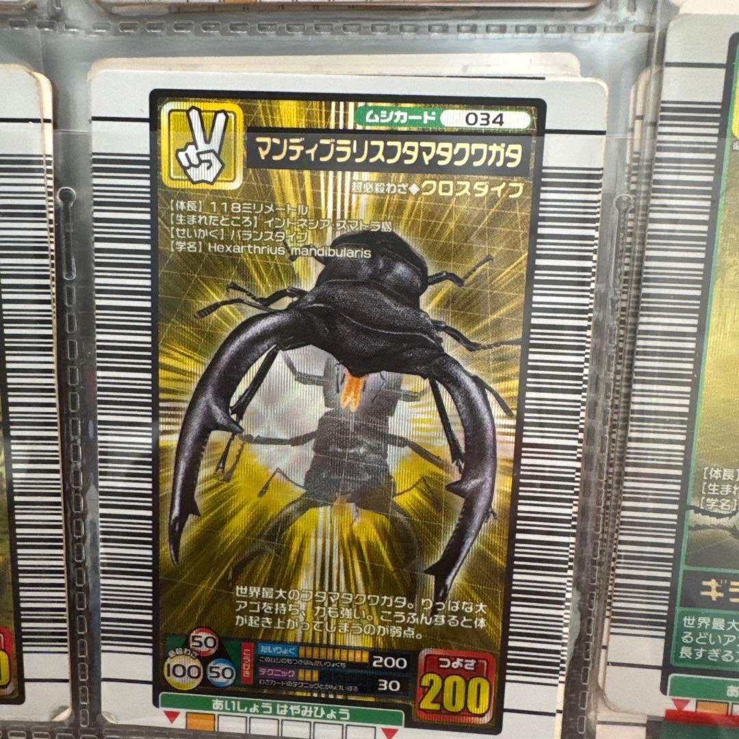ひ*こ様 甲虫王者ムシキング トレーディングカードセット　恐竜キング