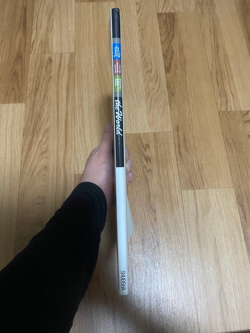 【希少】【美品】 鳥山明 the world 画集 ドラゴンボール アラレちゃん