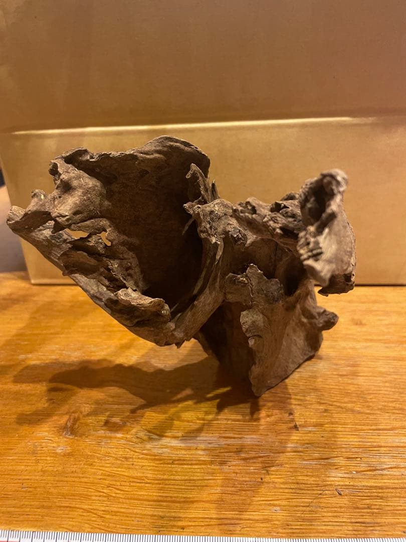 【美品】水槽用流木 15個セット