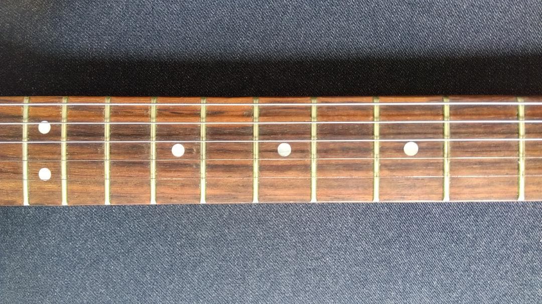 AXL Guitars Badwater SRO アクセルギターズ