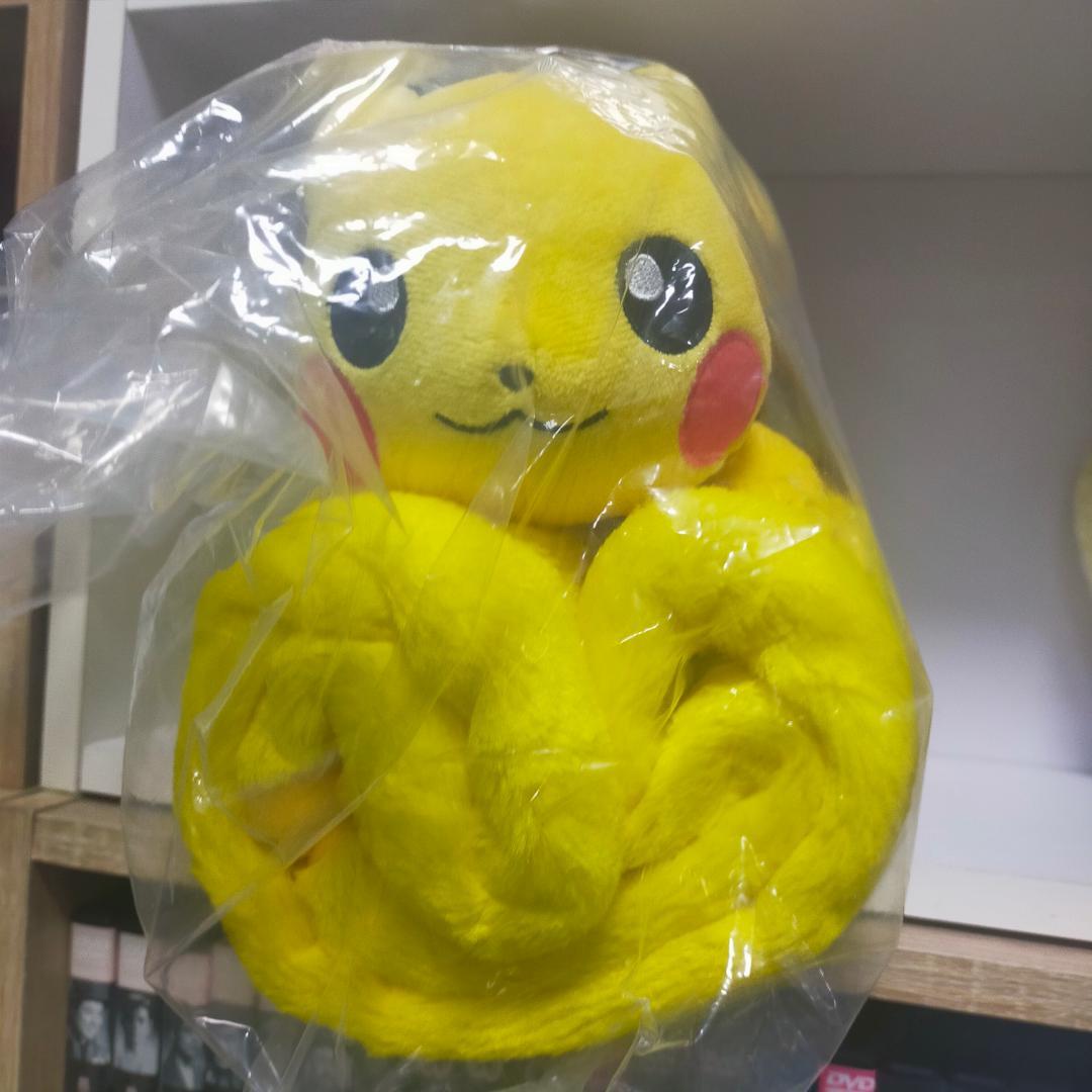 ポケモンぬいぐるみ　4体セット