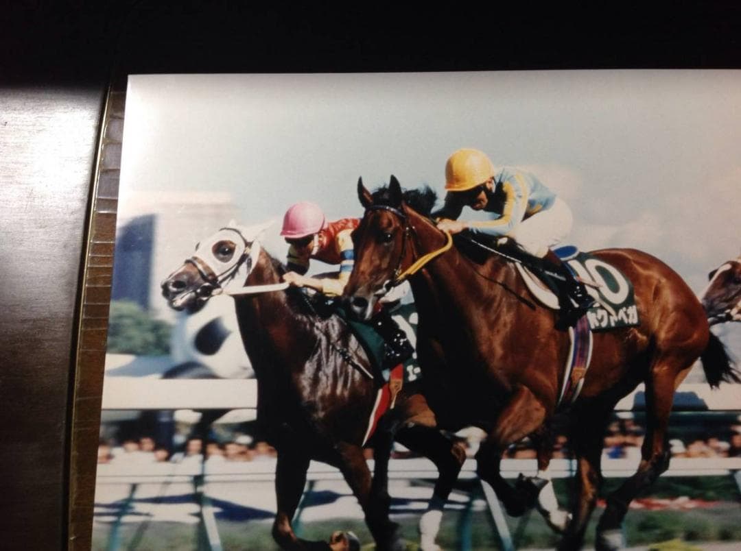 競馬パネル：ホクトベガ「1994年第30回札幌記念」 ※プレート付き