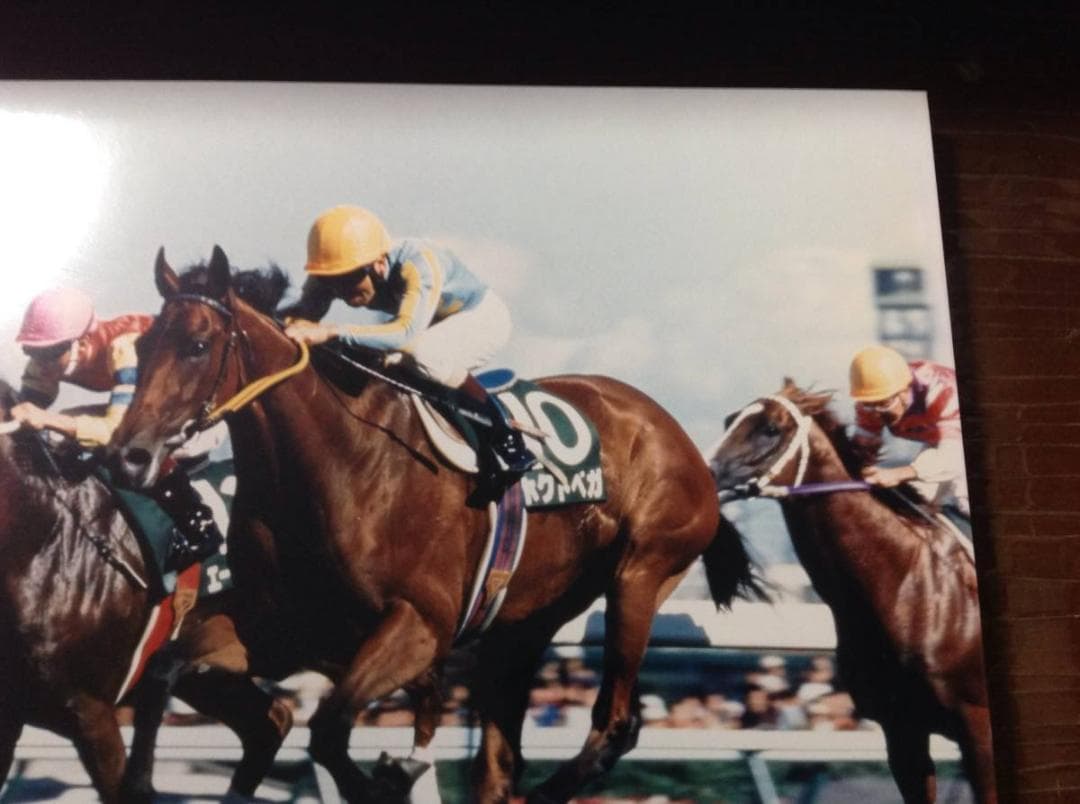 競馬パネル：ホクトベガ「1994年第30回札幌記念」 ※プレート付き