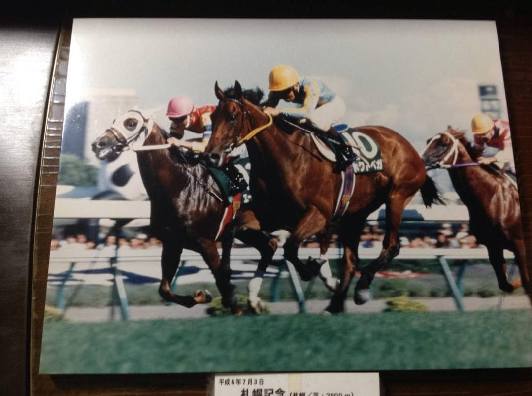競馬パネル：ホクトベガ「1994年第30回札幌記念」 ※プレート付き