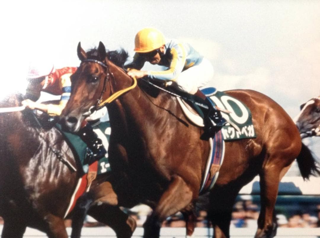 競馬パネル：ホクトベガ「1994年第30回札幌記念」 ※プレート付き