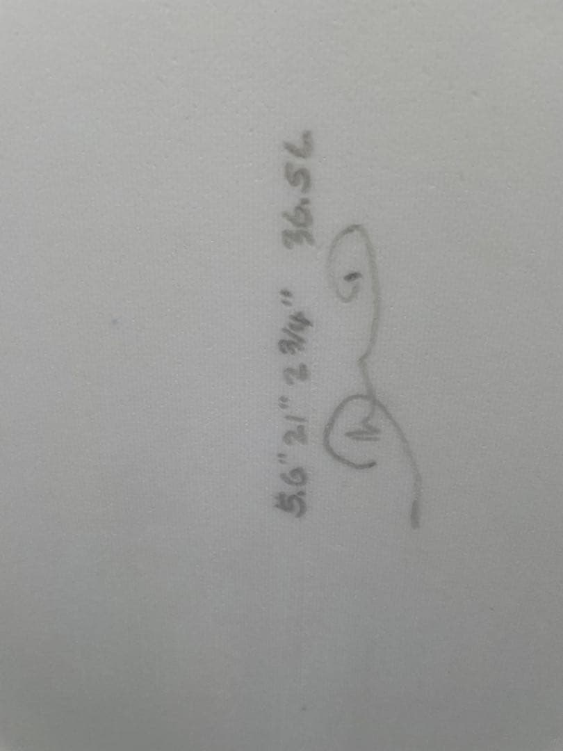 DMS ガーキン　ホワイトカーボンラップ