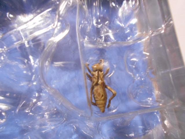 原色日本昆虫図鑑Ⅰ・Ⅱ 箱 フィギュア6点付 YUJIN