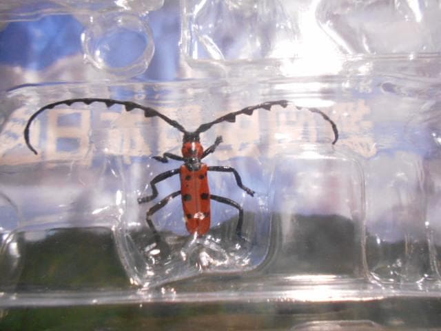 原色日本昆虫図鑑Ⅰ・Ⅱ 箱 フィギュア6点付 YUJIN