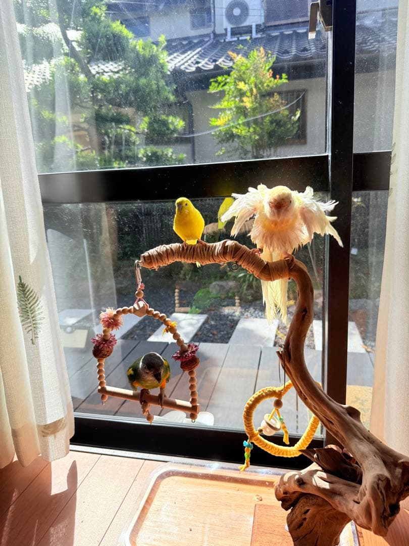 インコのおもちゃ 作品紹介