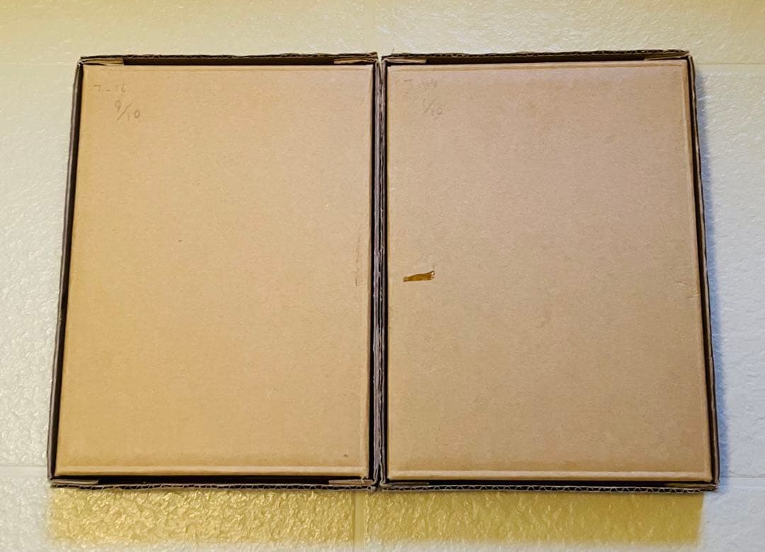 浜崎あゆみ　アクリル写真　10点限定　The Show Must Go On