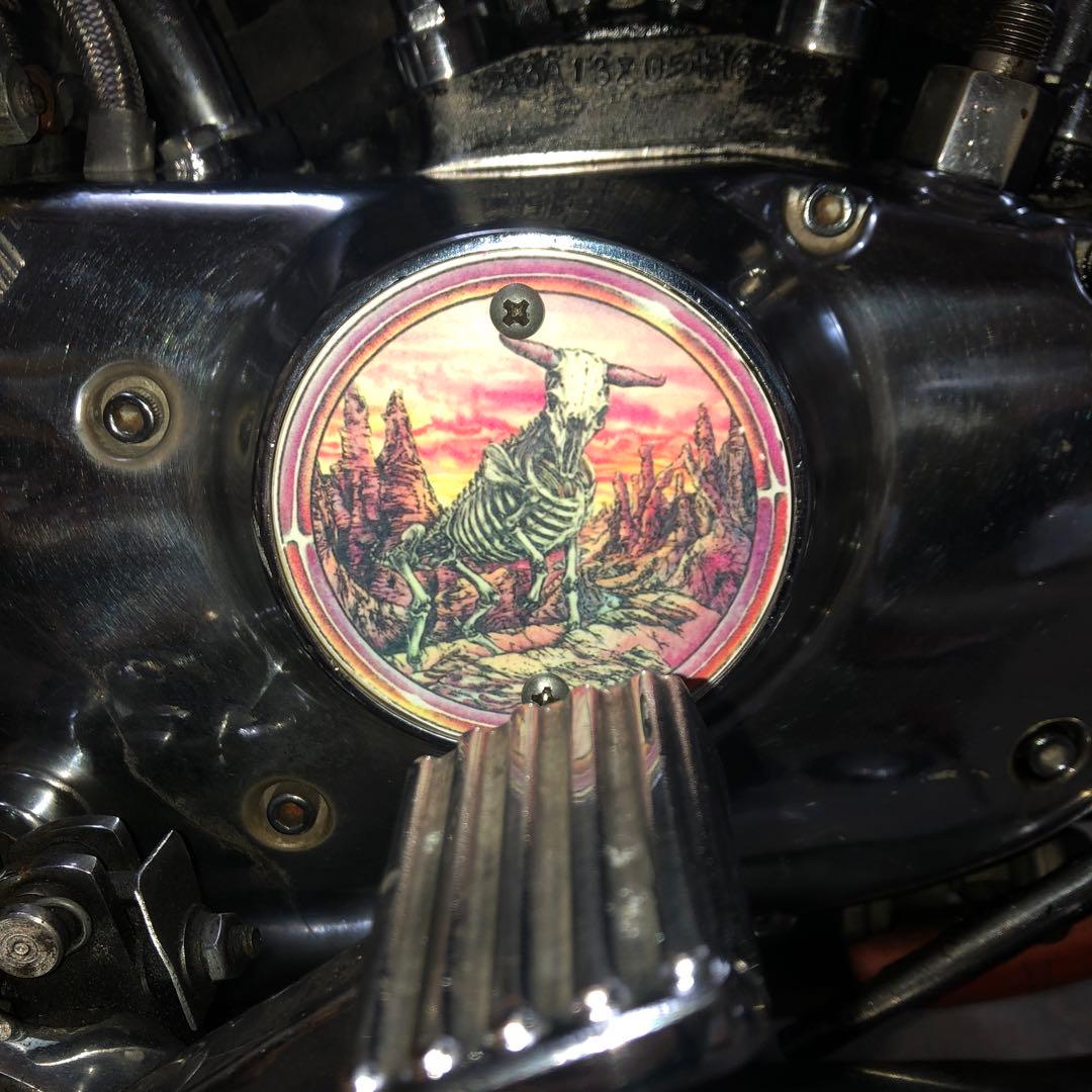 ステッカー　シール　デカール  屍　しかばね　ろっ骨　化石　まとめて　ジェスパー