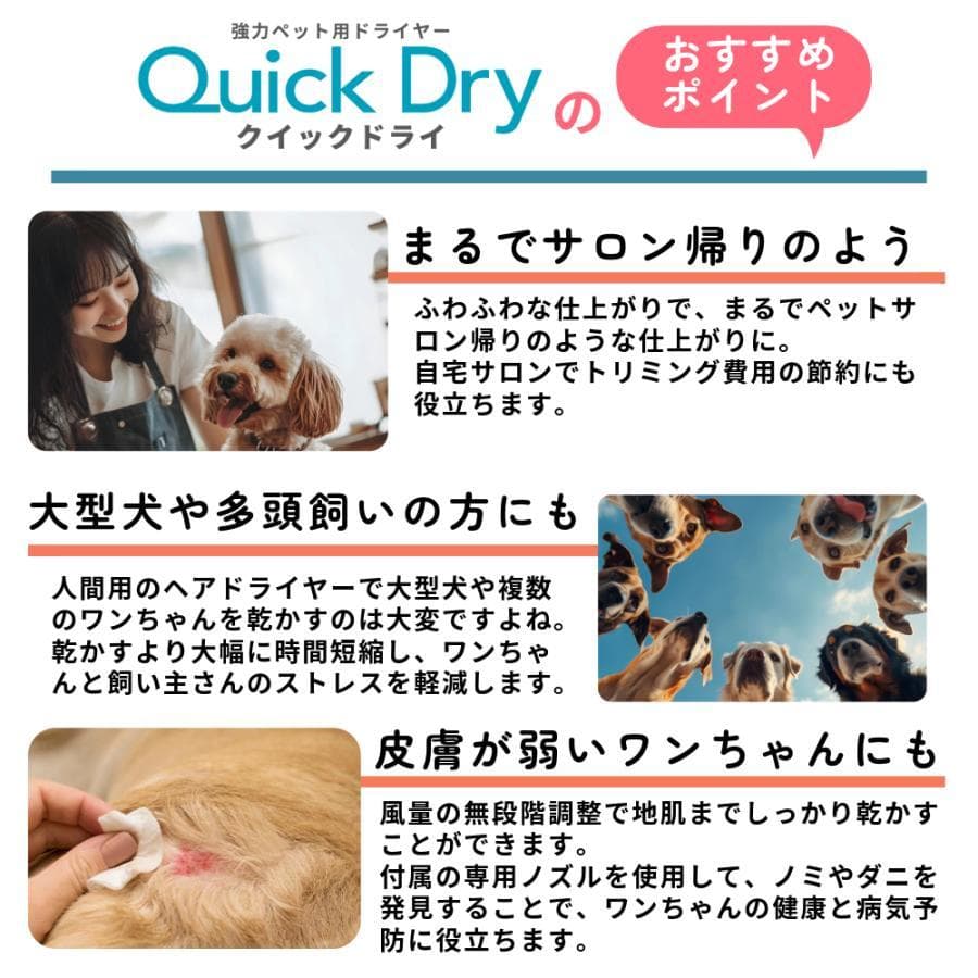 A 訳あり DOGOne ペットドライヤー 犬 クイックドライ 強風 ブラック