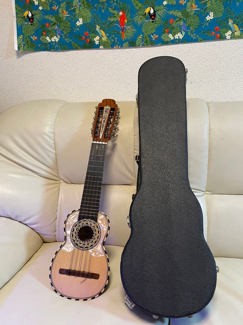 民族楽器 弦楽器 チャランゴ