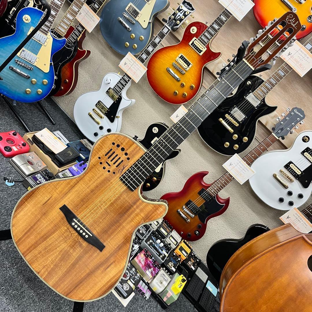 【11134】Godin Multiac Steel Duet Ambiance