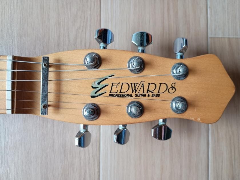 EDWARDS E-RS-32M ミニランダムスター 高崎晃