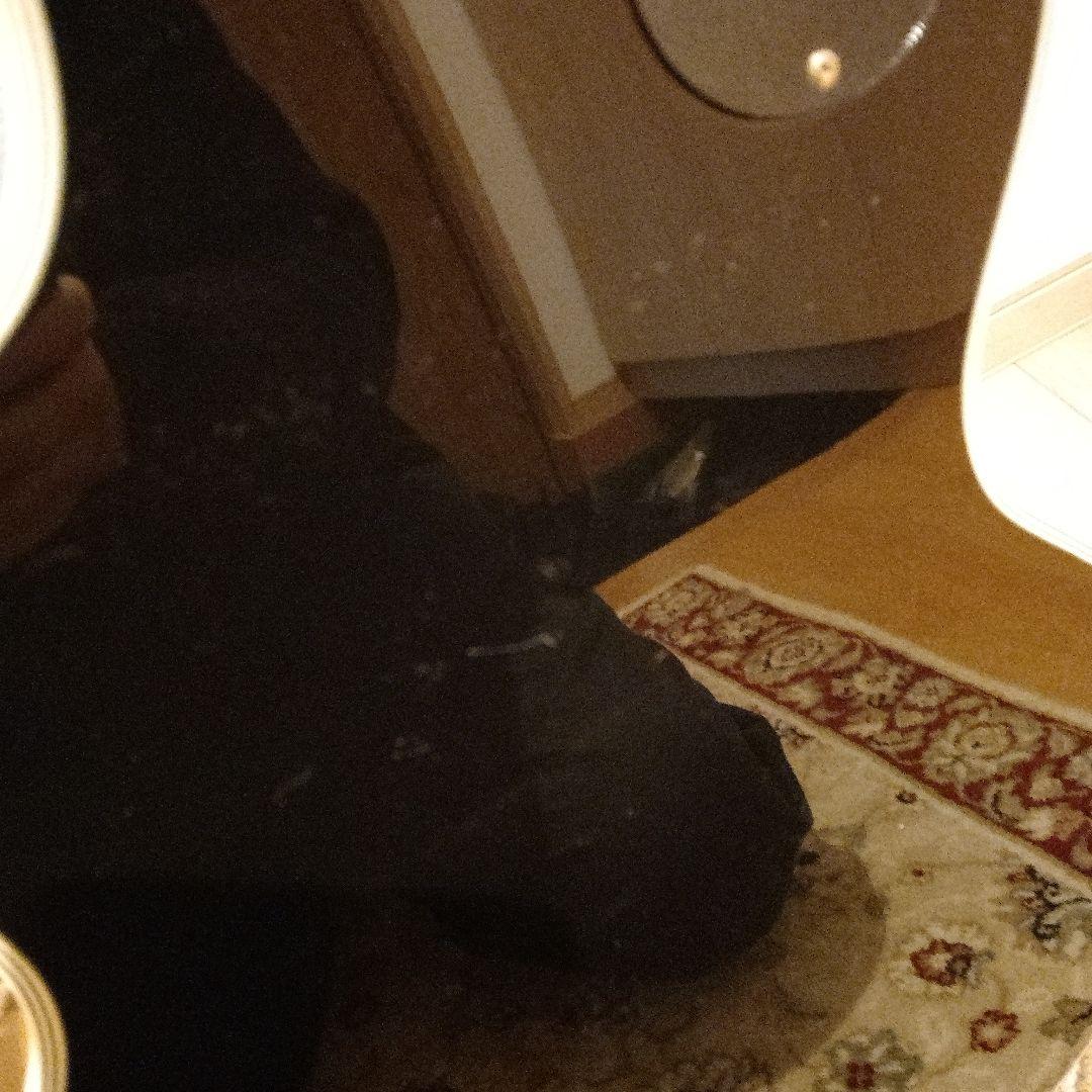 週末価格！【動作◯整備】Photogenic 　レスポールタイプ　エレキギター