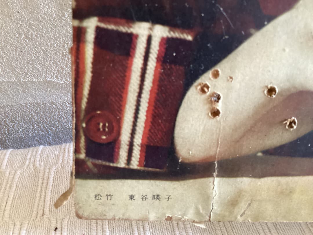 豊年サラダ油　昭和アイドル 昭和レトロ　富士真奈美　七浦宏子　東谷暎子3枚セット