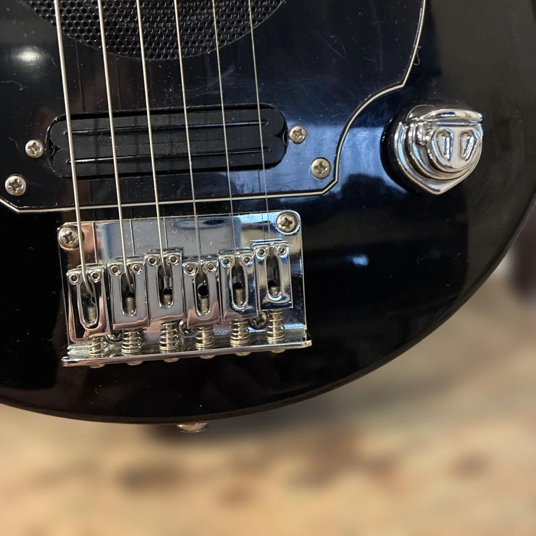 ピグノーズPGG200 ブラック