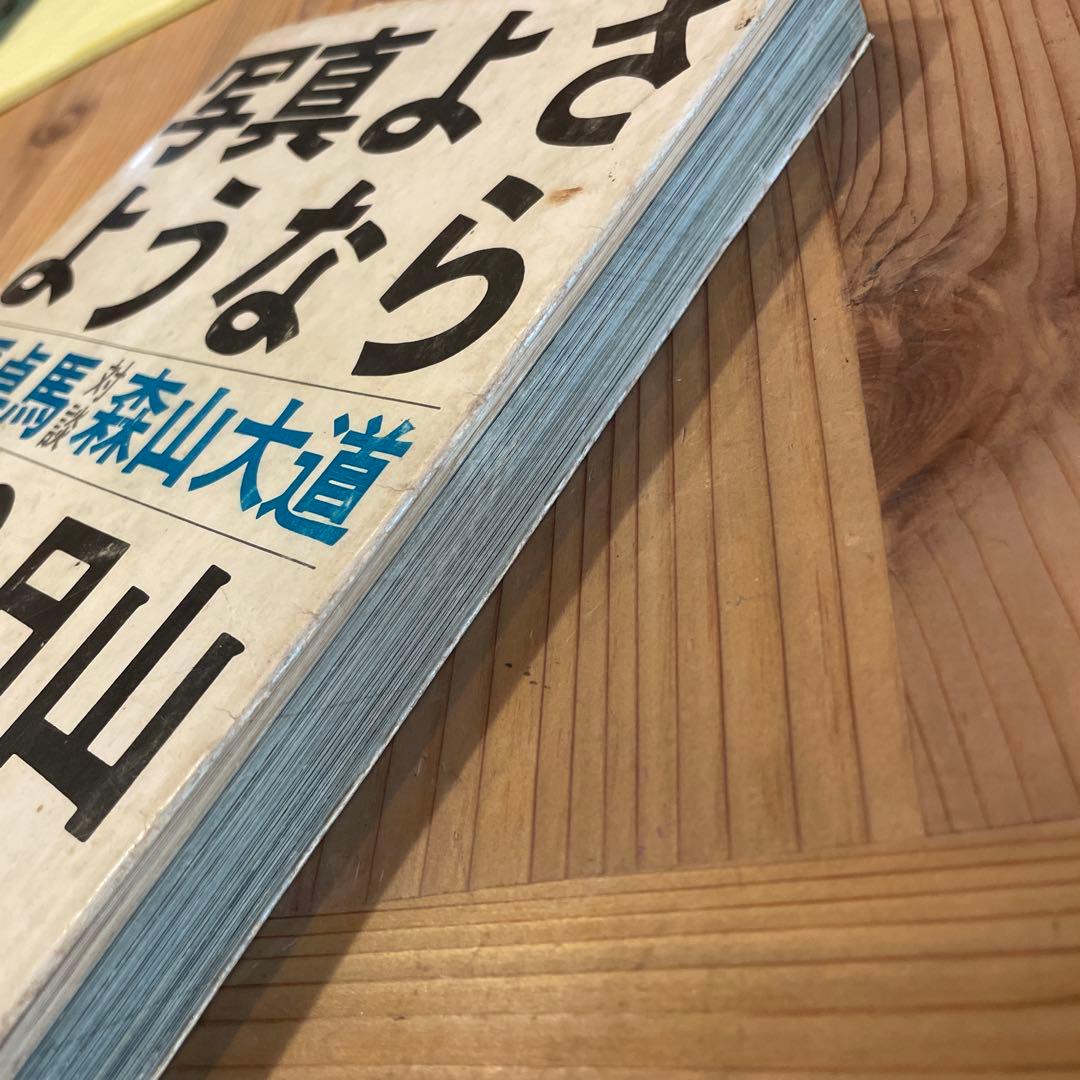 写真よさようなら　森山大道　中平卓馬