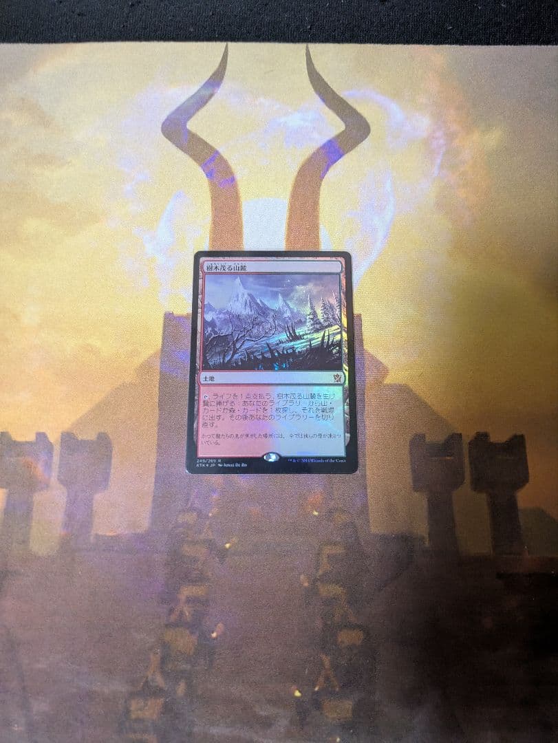Magic: The Gathering トレーディングカード 資産フルセット