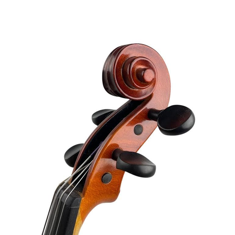 極美品●HORA Reghin●1/2 ホラ レギン バイオリン 初心者・中級者