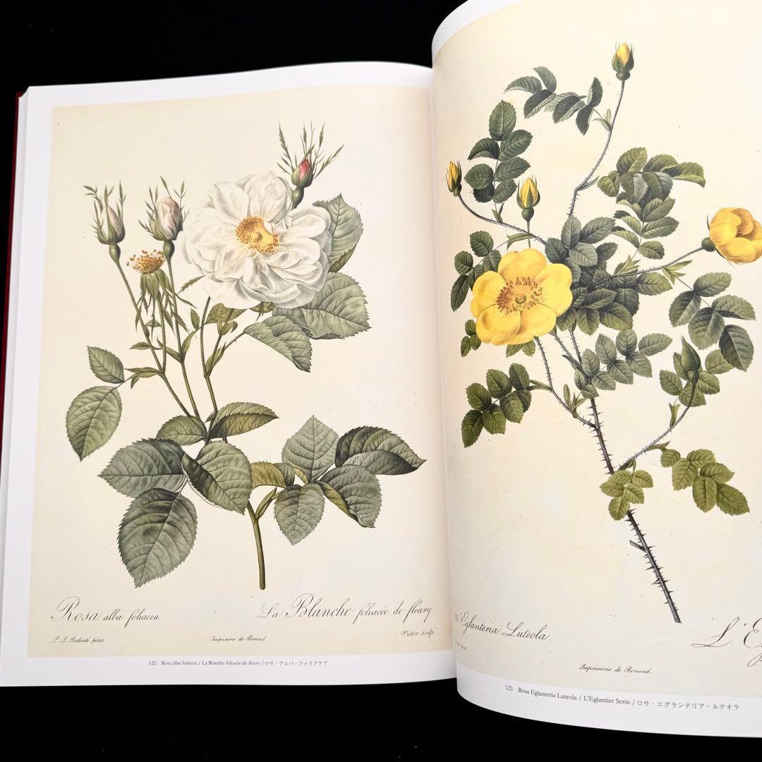 ピエール=ジョゼフ・ルドゥーテ 画集「バラ図譜 Les Roses 」豪華愛蔵版