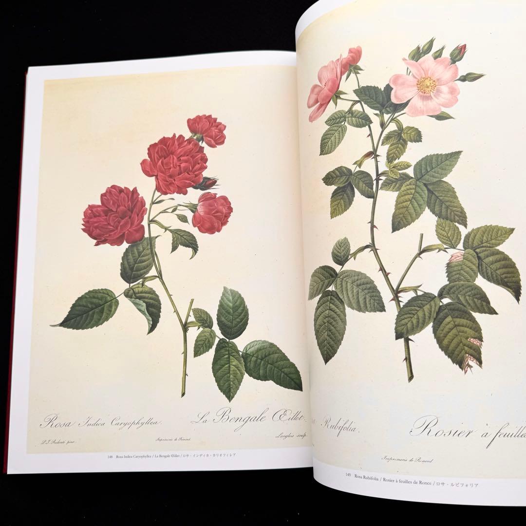 ピエール=ジョゼフ・ルドゥーテ 画集「バラ図譜 Les Roses 」豪華愛蔵版