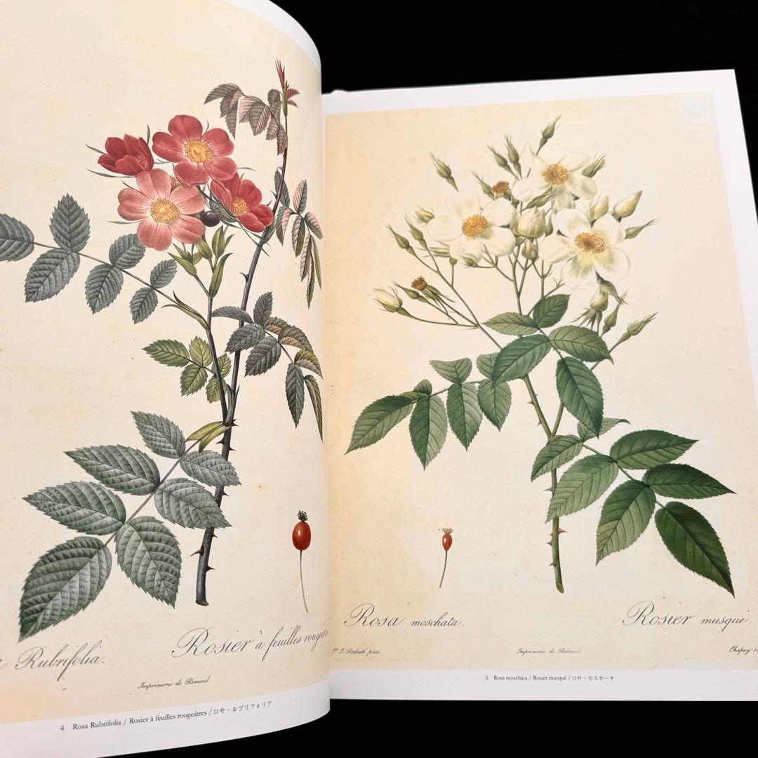 ピエール=ジョゼフ・ルドゥーテ 画集「バラ図譜 Les Roses 」豪華愛蔵版