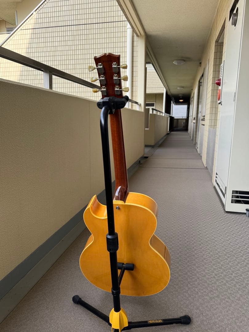 オービル　バイギブソン E-175