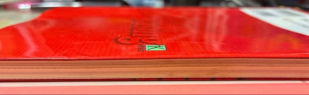 ライジング現代文