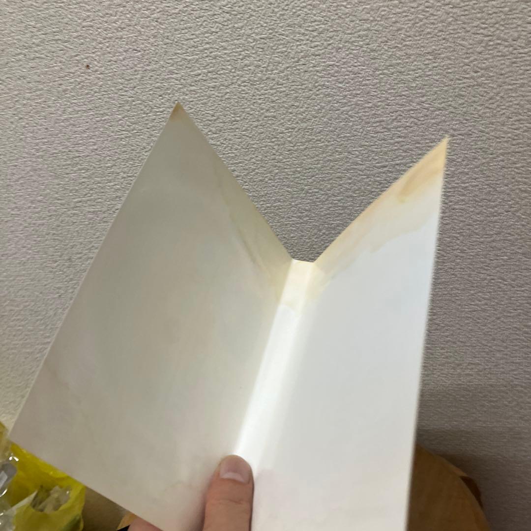 西田ひかる　25th Anniversary あれもこれも PV コレクション