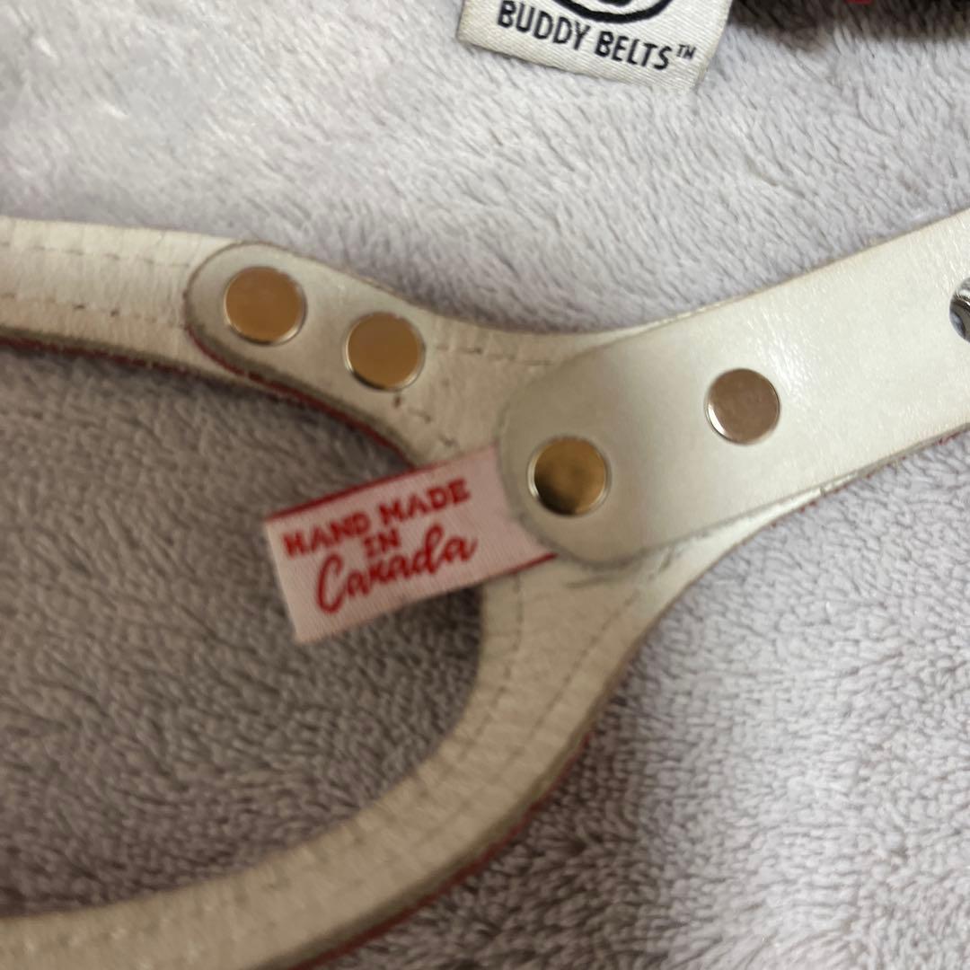 BUDDY BELTエナメルレッド貴重な限定色3.5号&リードSサイズセット