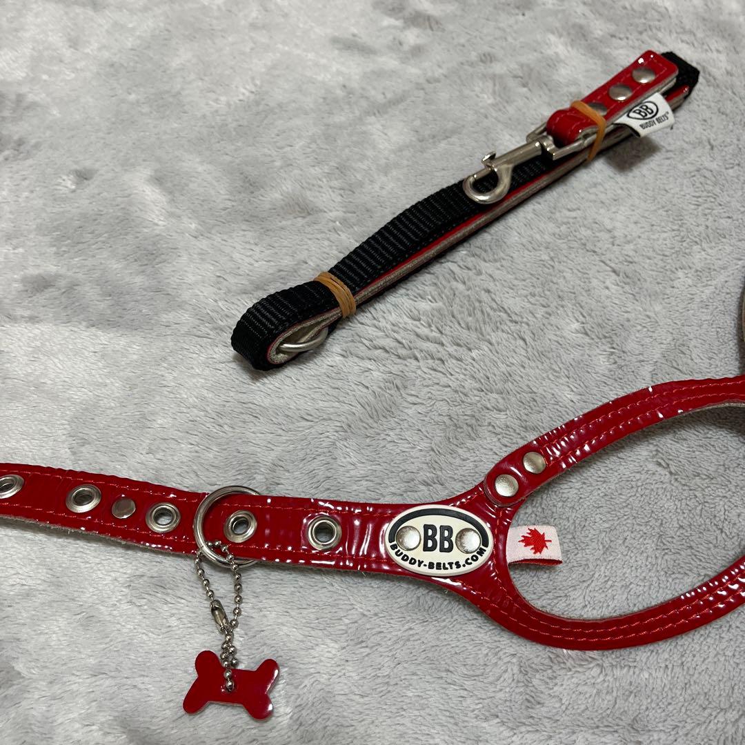 BUDDY BELTエナメルレッド貴重な限定色3.5号&リードSサイズセット
