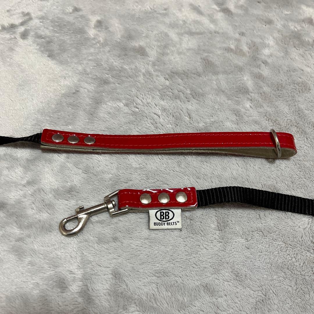 BUDDY BELTエナメルレッド貴重な限定色3.5号&リードSサイズセット