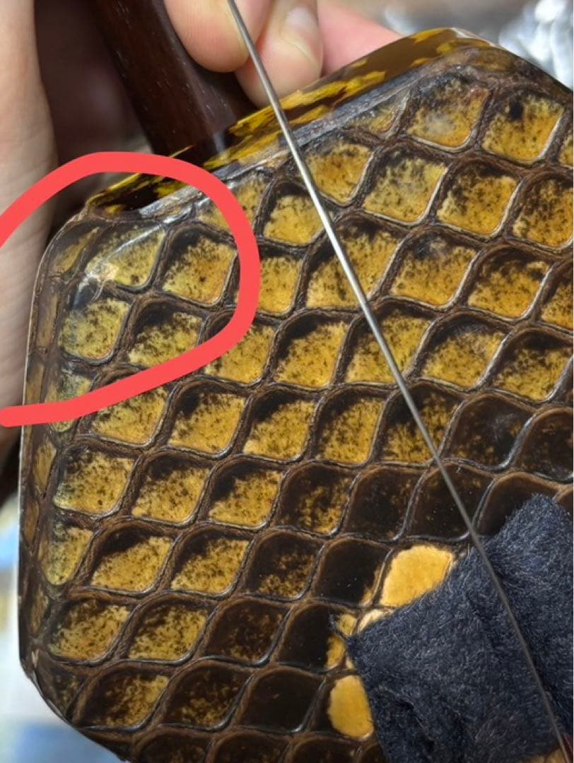 二胡　特級旧料老紅木　虎丘牌